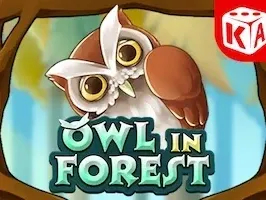 Owl In Forest thumbnail